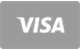 Płatność kartą Visa w Lucky Capone Casino